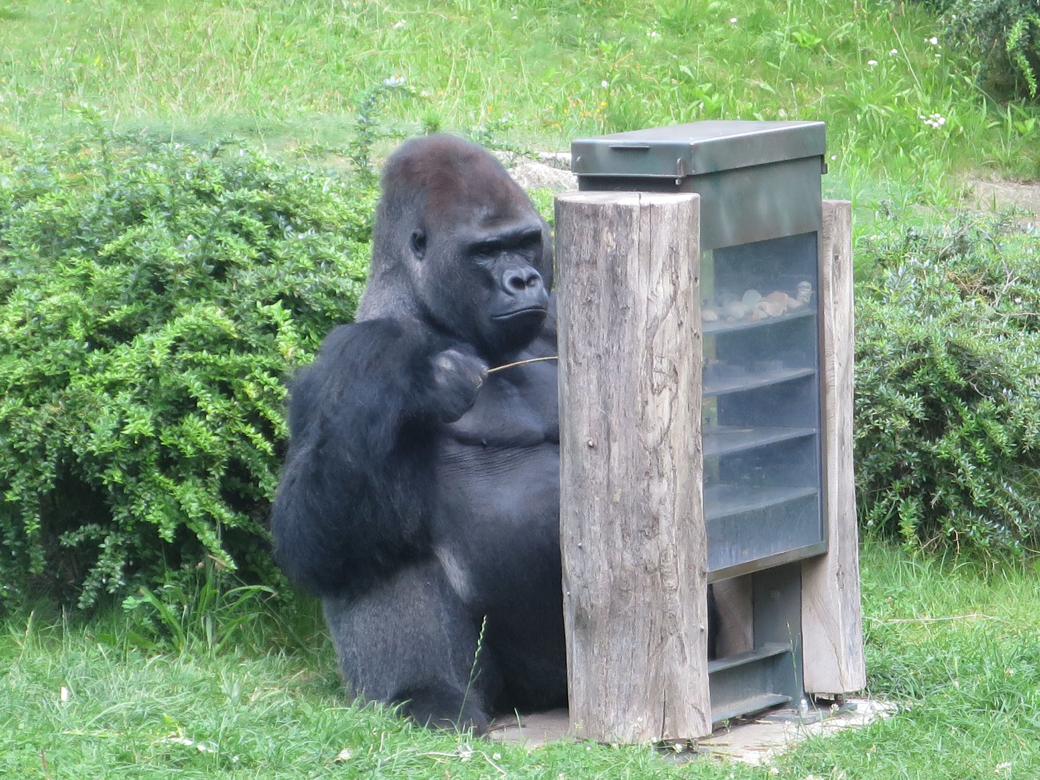 Tierpark Zoo  11